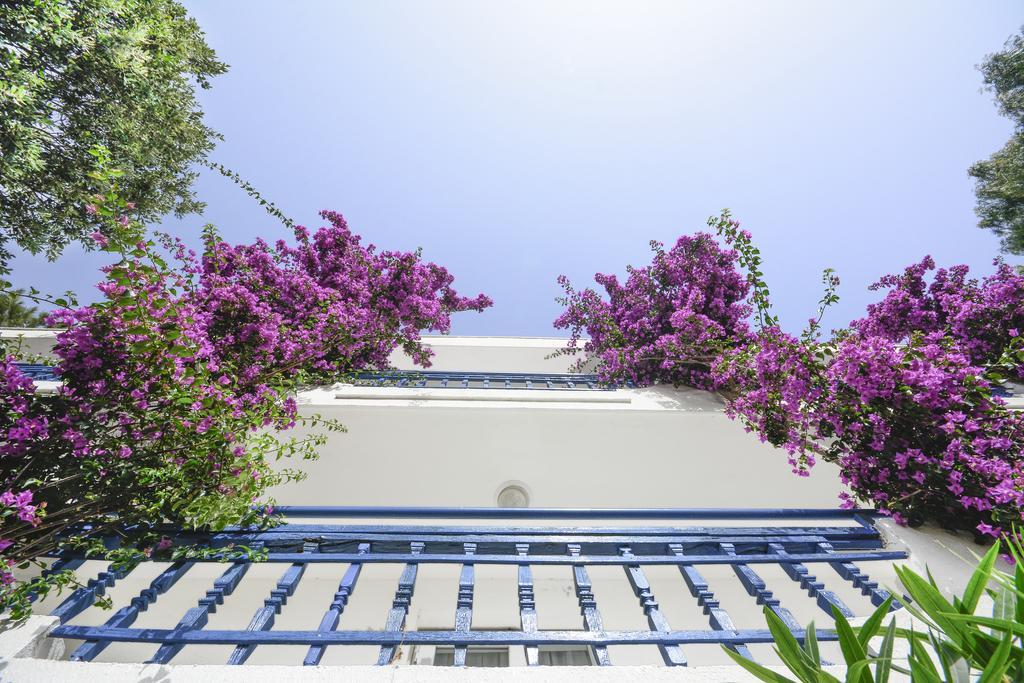 Club Blue White All Inclusive Тургутрейс Екстер'єр фото